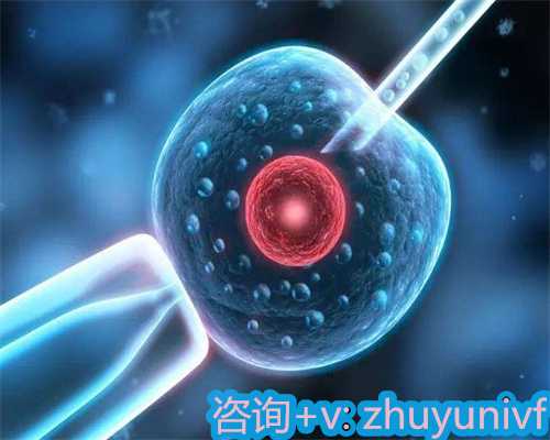 北京卵子捐赠医院等待时间与流程解析