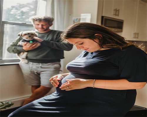 圆满生育梦：代生助孕服务让幸福不再留遗憾