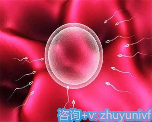 早上同房生男孩的几率有多高？应该如何理解早上同房生男孩的传闻呢？