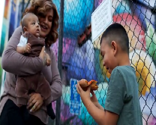 精选深圳代孕方案：三代试管婴儿的费用与医院考量