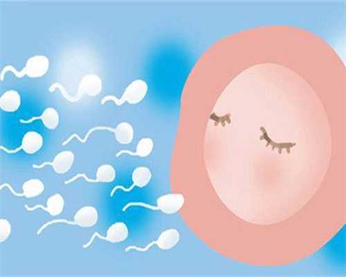 探究代生操作流程与乙肝阻断风险