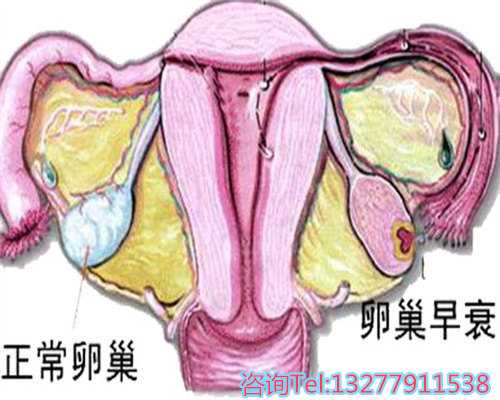 揭秘七个高效瘦身秘籍，助您轻松拥抱完美身材！